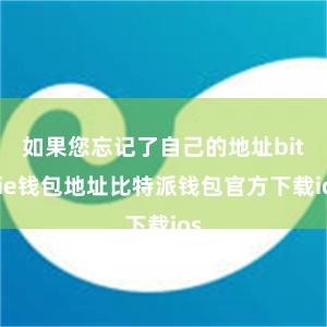 如果您忘记了自己的地址bitpie钱包地址比特派钱包官方下载ios