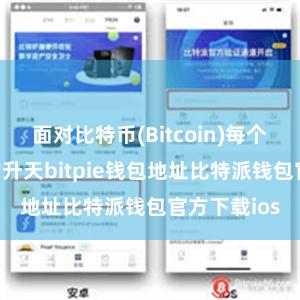 面对比特币(Bitcoin)每个区块1MB的升天bitpie钱包地址比特派钱包官方下载ios