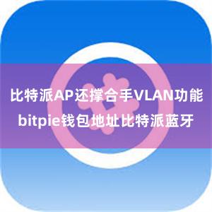 比特派AP还撑合手VLAN功能bitpie钱包地址比特派蓝牙