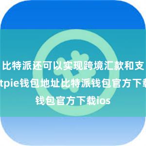 比特派还可以实现跨境汇款和支付bitpie钱包地址比特派钱包官方下载ios